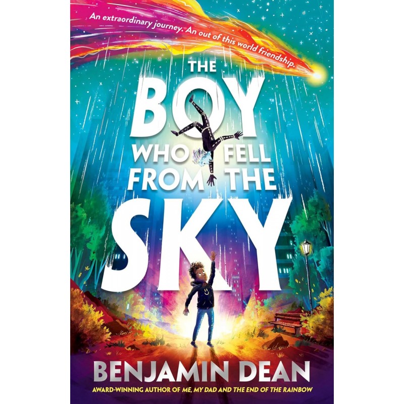 THE BOY WHO FELL FROM THE SKY