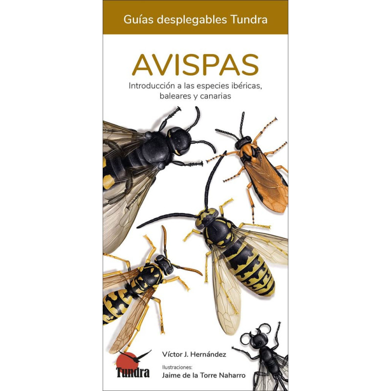 AVISPAS, GUÍAS DESPLEGABLES TUNDRA