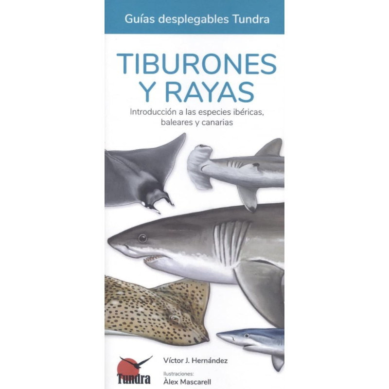 TIBURONES Y RAYAS, GUÍAS DESPLEGABLES TUNDRA