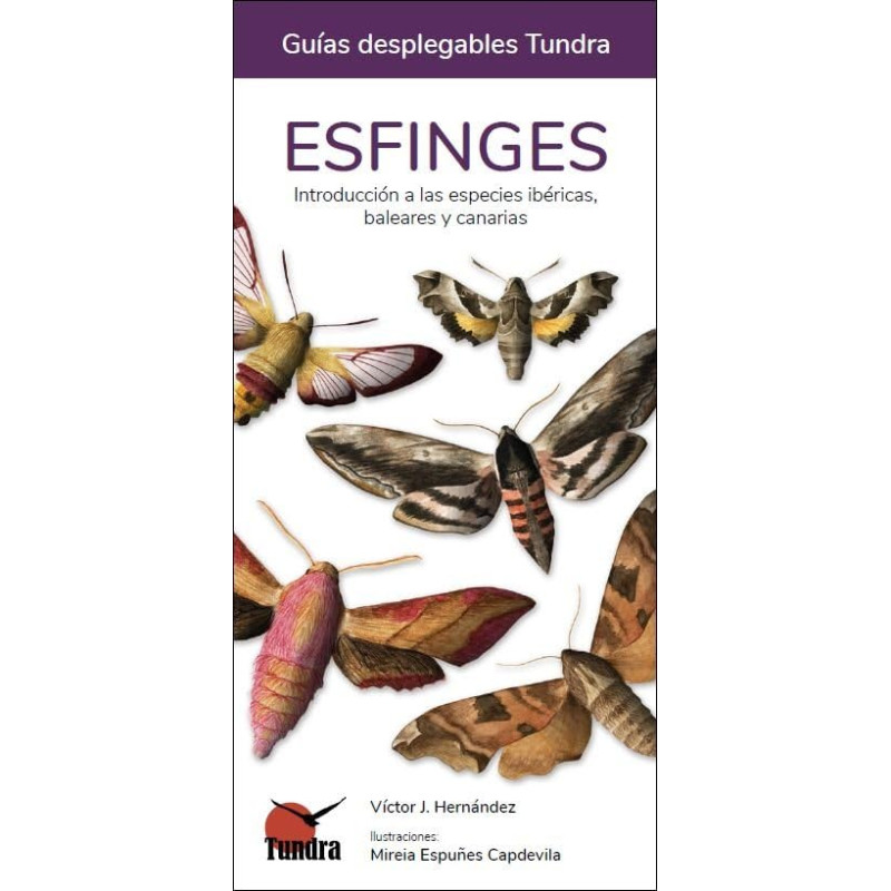 ESFINGES, GUÍAS DESPLEGABLES TUNDRA