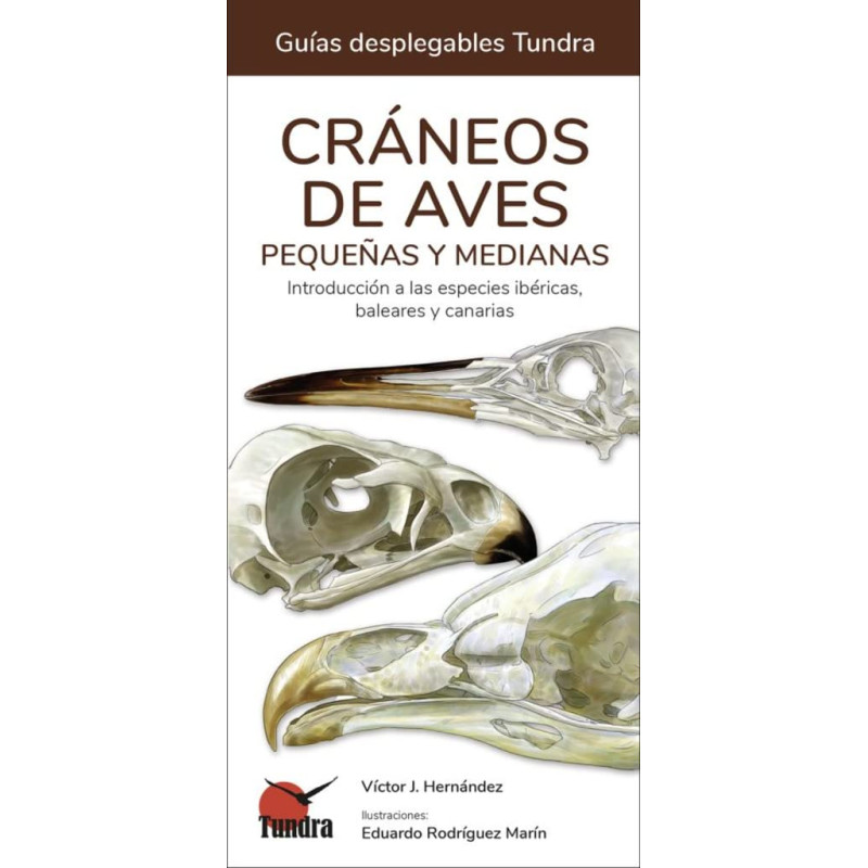 CRANEOS DE AVES PEQUEÑAS Y MEDIANAS, GUÍAS DESPLEGABLES TUNDRA