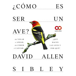 ¿CÓMO ES SER UN AVE? DE VOLAR A ANIDAR, DE COMER A CANTAR... ¿QUÉ HACEN LAS AVES?