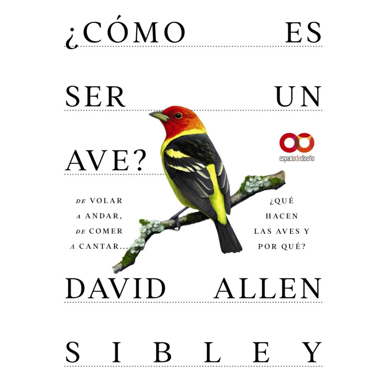 ¿CÓMO ES SER UN AVE? DE VOLAR A ANIDAR, DE COMER A CANTAR... ¿QUÉ HACEN LAS AVES?