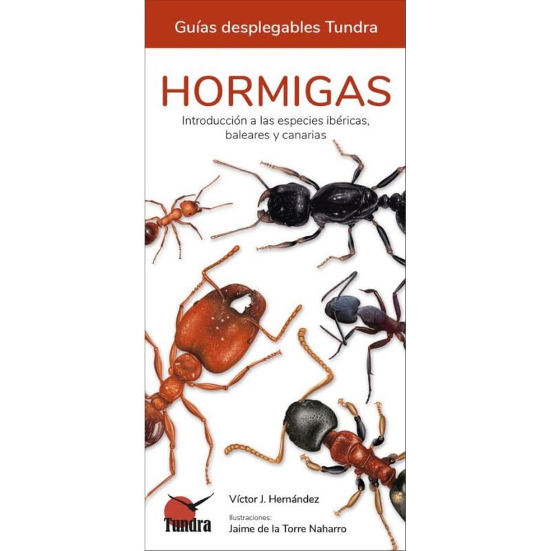 HORMIGAS, GUÍAS DESPLEGABLES TUNDRA