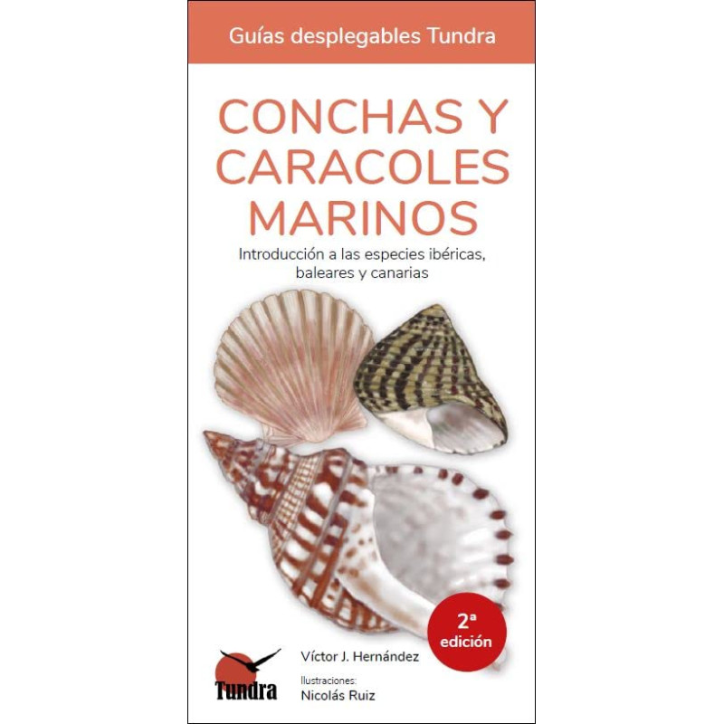 CONCHAS Y CARACOLES MARINOS, GUÍAS DESPLEGABLES TUNDRA