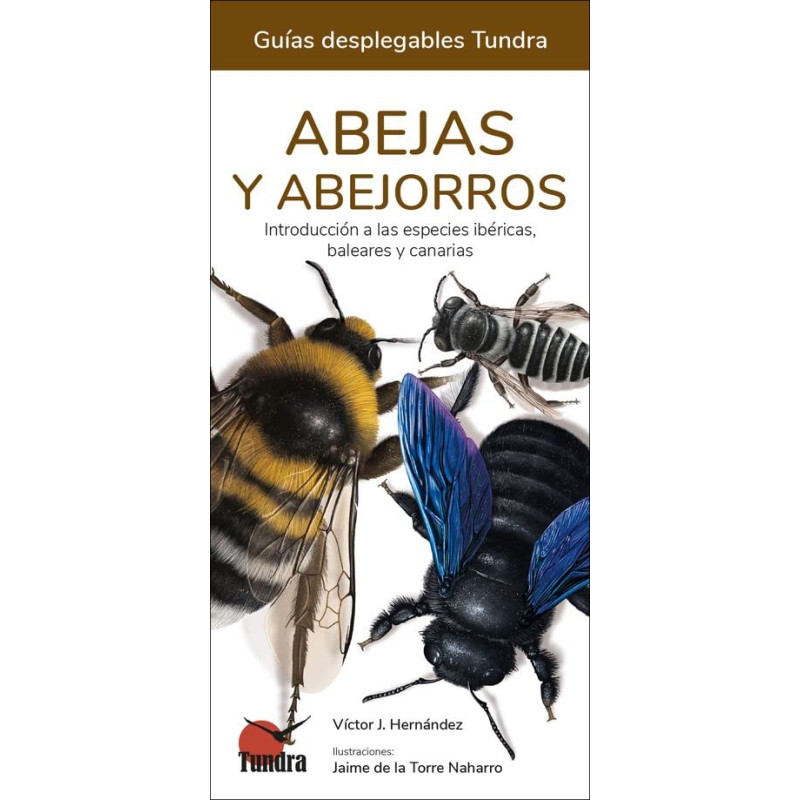 ABEJAS Y ABEJORROS, GUÍAS DESPLEGABLES TUNDRA