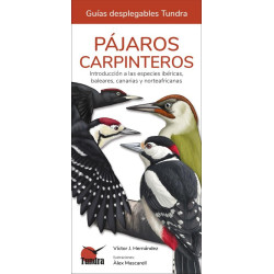 PÁJAROS CARPINTEROS, GUÍAS DESPLEGABLES TUNDRA