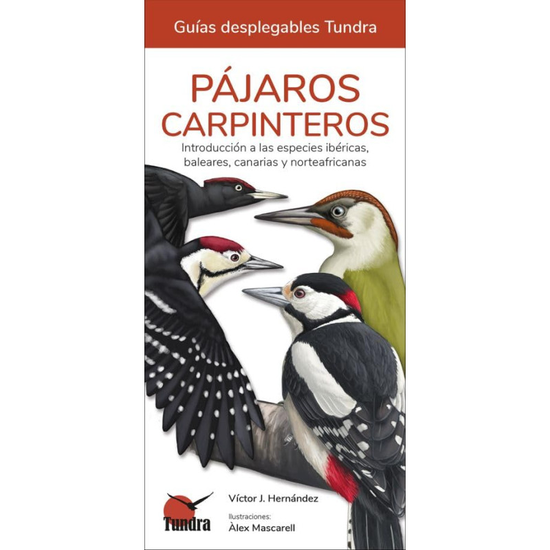 PÁJAROS CARPINTEROS, GUÍAS DESPLEGABLES TUNDRA