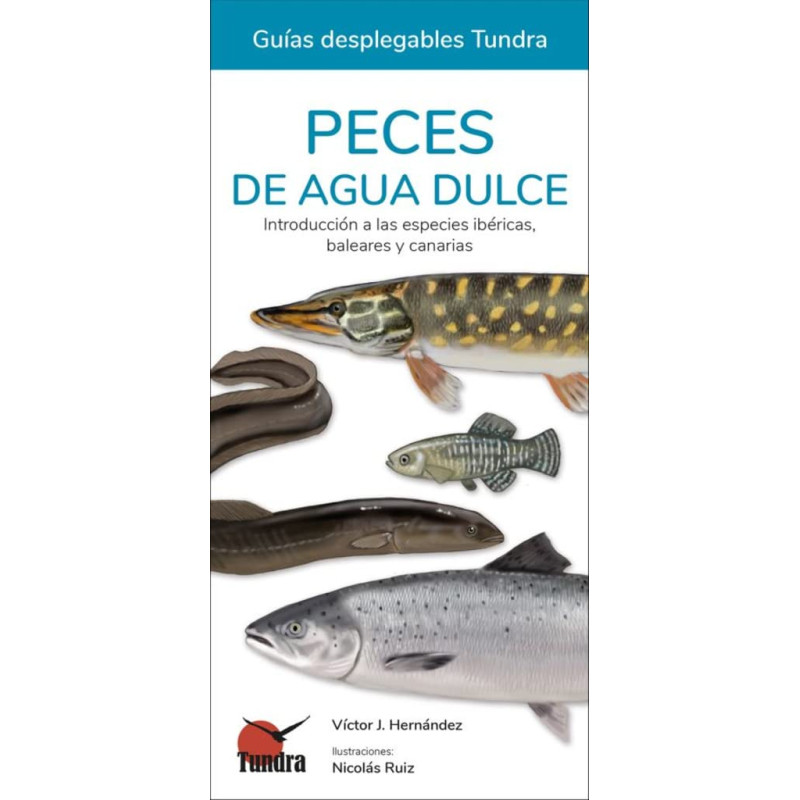 PECES DE AGUA DULCE, GUÍAS DESPLEGABLES TUNDRA