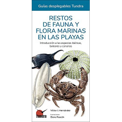 RESTOS DE FAUNA Y FLORA MARINAS EN LAS PLAYAS, GUÍAS DESPLEGABLES TUNDRA