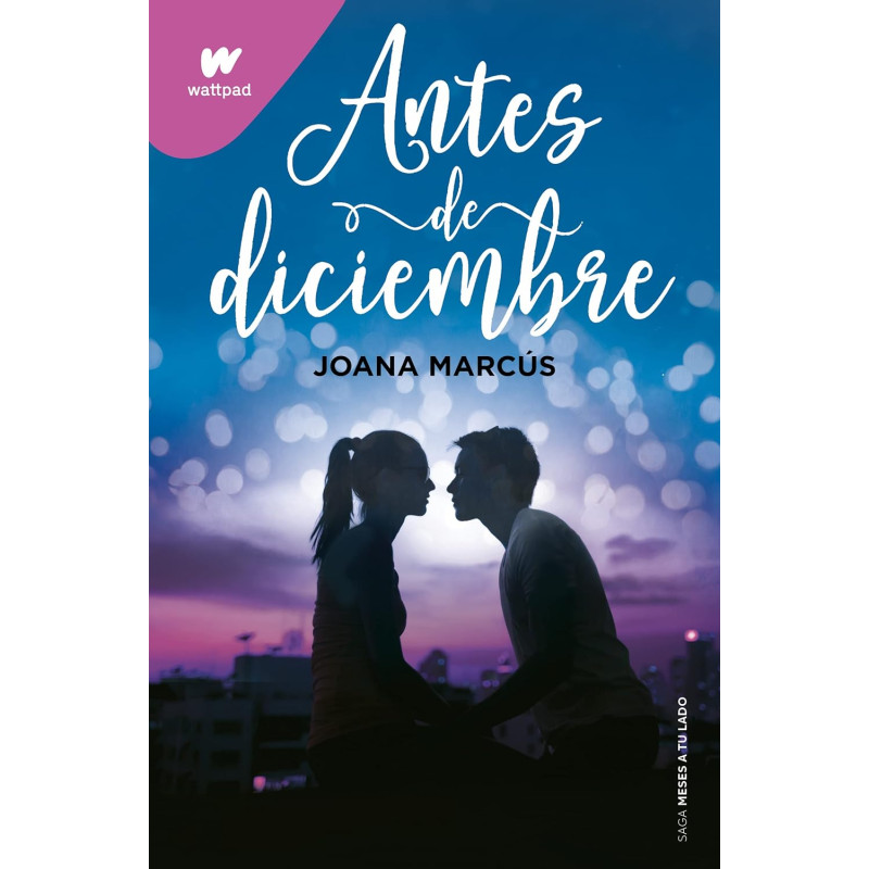 ANTES DE DICIEMBRE, BOLSILLO