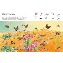 BUSCA Y ENCUENTRA USBORNE, 1001 BICHITOS QUE BUSCAR