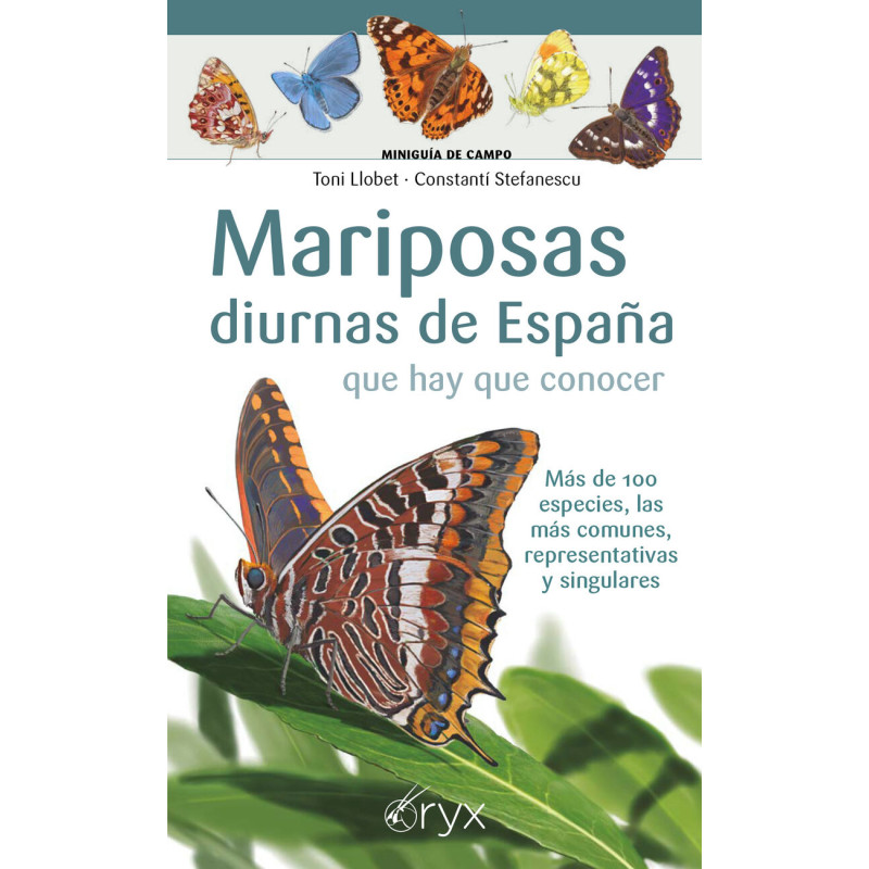 MARIPOSAS DIURNAS DE ESPAÑA QUE HAY QUE CONOCER