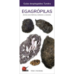 EGAGROPILAS DE LAS AVES IBÉRICAS, BALEARES Y CANARIAS, GUÍAS DESPLEGABLES TUNDRA